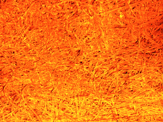 retouched-orange-plant-fiber-by-Raburadohl.png
